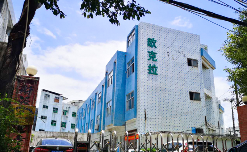2021年東莞市歐克拉電子科技有限公司全面升級管理項目圓滿成功！