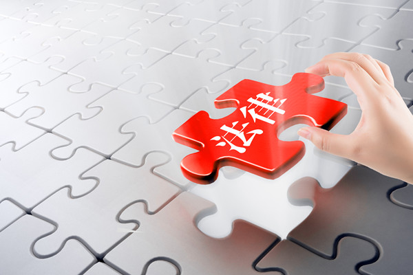 預(yù)算審計(jì)咨詢：指導(dǎo)企業(yè)開展審計(jì)工作，確保預(yù)算合規(guī)