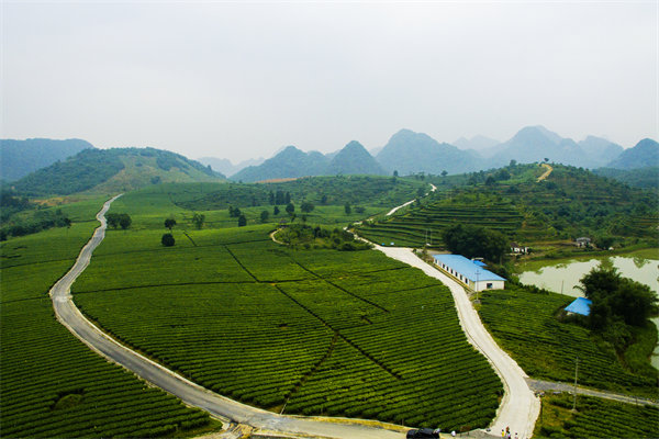 清遠(yuǎn)年度經(jīng)營計(jì)劃咨詢公司如何助企業(yè)精準(zhǔn)規(guī)劃？