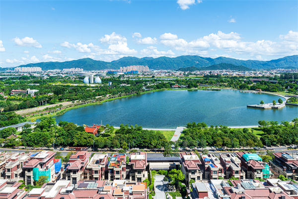 漳州戰(zhàn)略咨詢公司如何為企業(yè)定制長遠發(fā)展藍圖？