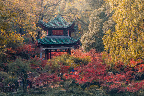 長沙薪酬咨詢公司如何設(shè)計合理的薪酬結(jié)構(gòu)與體系？