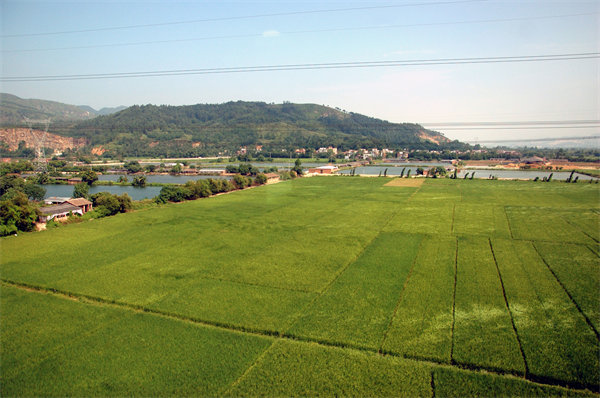 清遠(yuǎn)營銷咨詢公司如何精準(zhǔn)定位企業(yè)目標(biāo)市場？