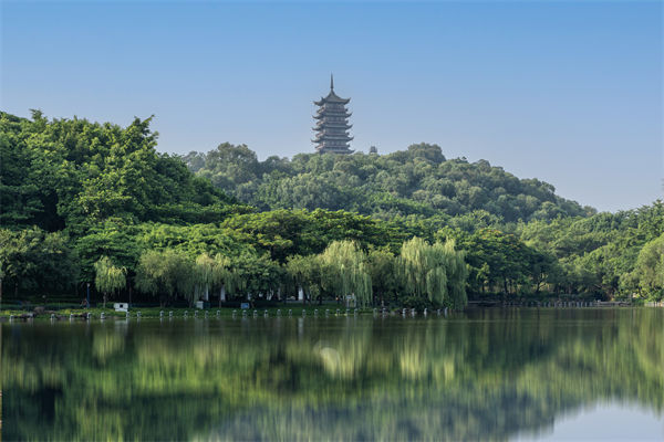 如何評估佛山集團(tuán)管控咨詢公司的服務(wù)質(zhì)量和效果？