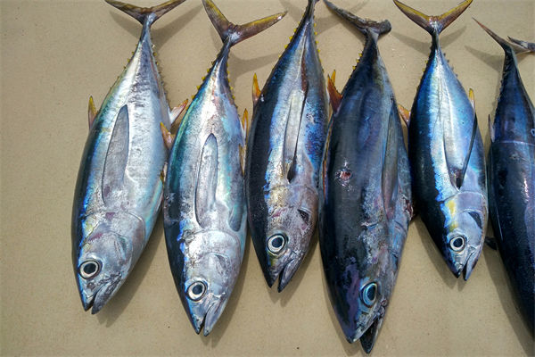 商務(wù)部：將幫助外貿(mào)企業(yè)擴(kuò)寬內(nèi)銷渠道，政策解讀！