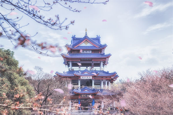 供應(yīng)鏈成本居高不下，無錫供應(yīng)鏈咨詢公司如何精準(zhǔn)砍出利潤空間？