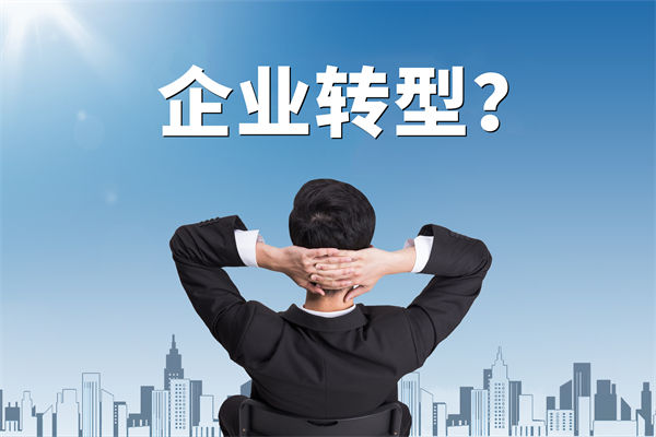 企業(yè)轉(zhuǎn)型無方向，數(shù)智化咨詢公司能否指引明路？