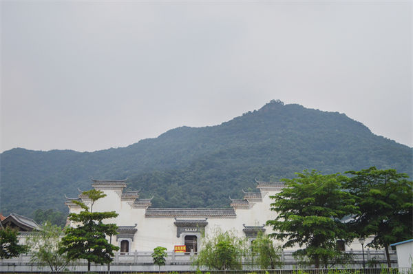 子公司各自為戰(zhàn)內(nèi)耗大，佛山集團(tuán)管控咨詢(xún)公司有何整合之道？