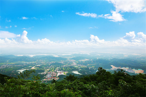 企業(yè)戰(zhàn)略飄在半空落地難，惠州戰(zhàn)略咨詢公司能錨定方向嗎？