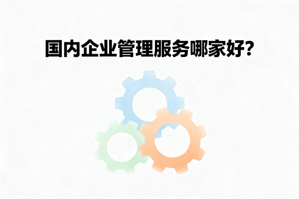 國內(nèi)企業(yè)管理服務(wù)哪家好？
