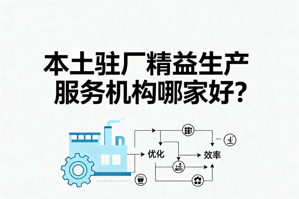 本土駐廠(chǎng)精益生產(chǎn)服務(wù)機(jī)構(gòu)哪家好？