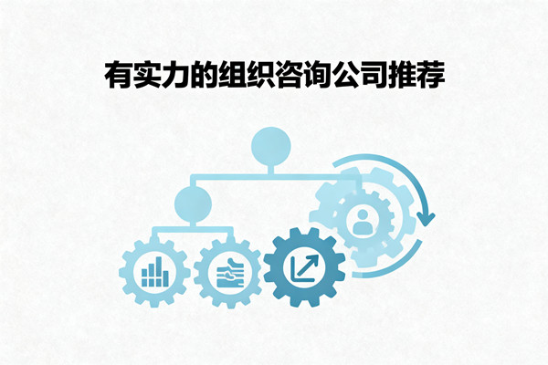 有實(shí)力的組織咨詢公司推薦